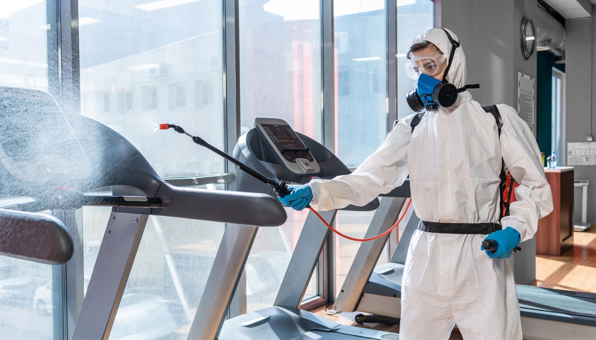 Commercial Mold Removal Services in Littleton