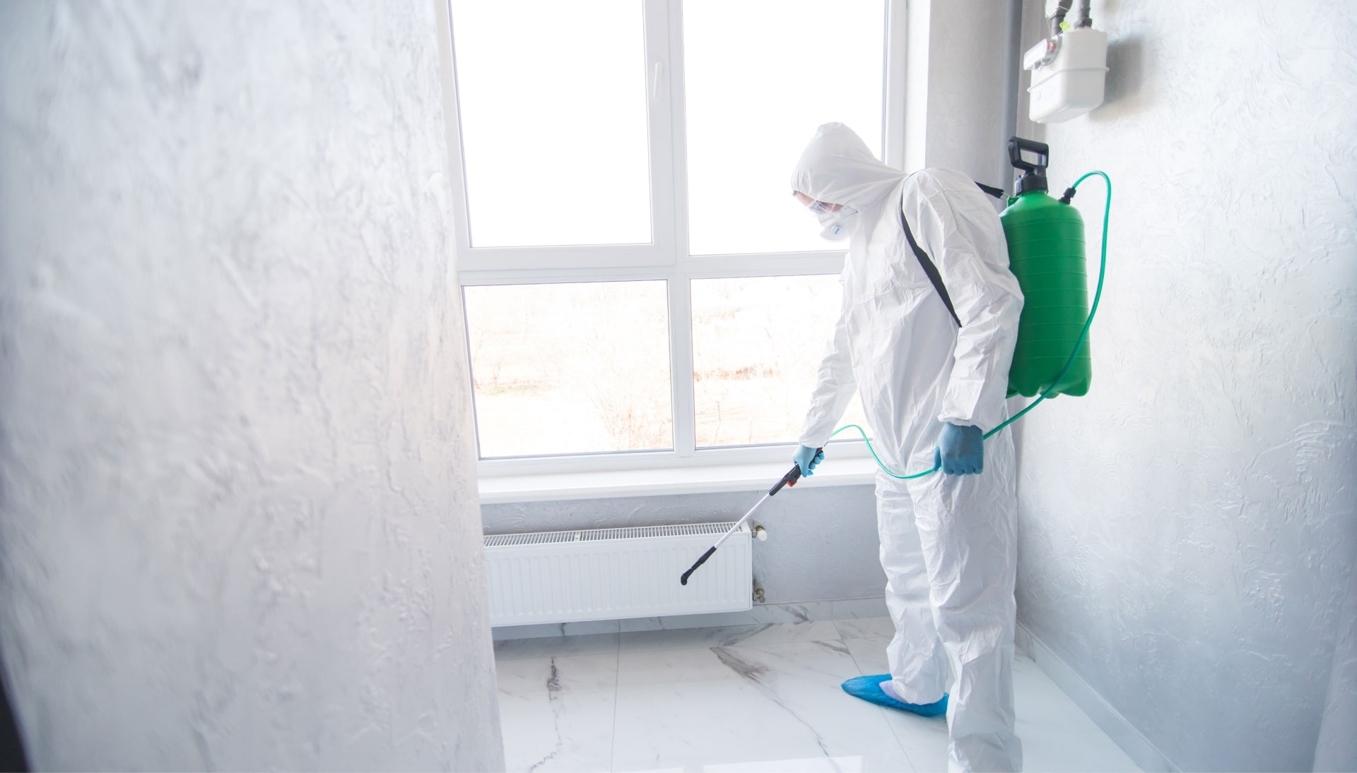Mold Inspection Services in Littleton